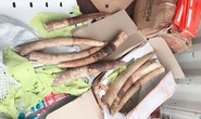 Phát hiện vụ vận chuyển trái phép 17,6 kg vật phẩm nghi là ngà voi