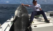 Cá mập 314 kg thất thủ trước bé trai 8 tuổi