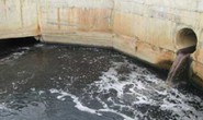 1 DN thủy sản ở Cà Mau bị phạt 360 triệu đồng do xả thải vượt quy định