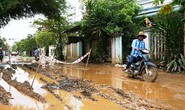 Quảng Ngãi tiếp tục đòi nợ chủ đầu tư đường Cao tốc Đà Nẵng - Quảng Ngãi