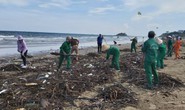 Cận cảnh bãi biển Vũng Tàu bị cả trăm tấn rác vây kín!