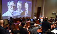 Nobel Y học 2019: Mở ra chiến lược mới chống ung thư