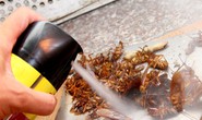 Trảm cơ sở bán thuốc diệt côn trùng chung với thực phẩm