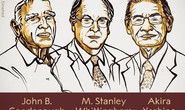 Nobel Hóa học 2019 vinh danh sáng chế pin