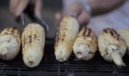 [VIDEO] - Đậm đà bắp nướng Gò Công, bán 400 trái mỗi ngày
