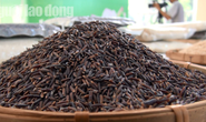 Gạo ST 24 đoạt giải nhất hội thi gạo ngon Đồng Tháp 2019