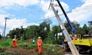Đồng Tháp: Dồn lực đưa điện lưới quốc gia về vùng sâu, vùng xa