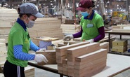 Bình Dương: Công nhân hưởng lợi từ thỏa ước lao động tập thể nhóm