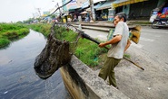 Mối nguy từ ô nhiễm hạt vi nhựa