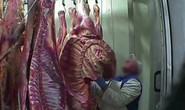 Ba Lan xuất khẩu thịt bò bệnh sang 10 nước EU