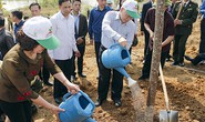 Tổng Bí thư, Chủ tịch nước phát động Tết trồng cây