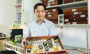 Nhà khoa học Đại học Duy Tân phát hiện loài chuồn chuồn kim mới ở Tây Nguyên