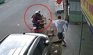 Trộm chim chào mào, gã đàn ông bị truy tố