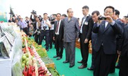 Dấu mốc lịch sử trong quan hệ Việt Nam - Triều Tiên