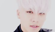 Bị điều tra dắt mối mại dâm, Seungri của Big Bang giải nghệ