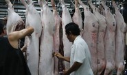 Dịch tả heo châu Phi: Lơ là sẽ là thảm họa cho TP HCM
