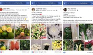 Nhộn nhịp chợ online ở chung cư