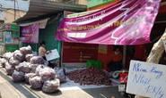 Lập chiến dịch giải cứu khoai lang giúp nông dân Gia Lai