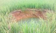 Xuất hiện hố tử thần giữa cánh đồng Quật Xá