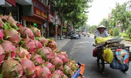 Trung Quốc siết đường tiểu ngạch, lo rau quả bí đầu ra