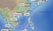 Cáp quang APG đã khôi phục, truy cập internet ổn định trở lại