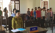 Buộc phòng GD-ĐT bồi thường vì chấm dứt hợp đồng giáo viên trái luật