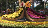Festival Hoa lan TP HCM khai mạc, miễn phí cho khách tham quan