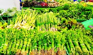 Dấu ấn nhà bán lẻ Việt vì hàng Việt