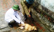 Bị chó nhà cắn chủ quan không đi tiêm phòng, 2 bố con tử vong thương tâm