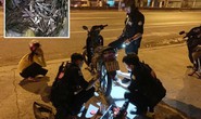 Chào thua đinh tặc?
