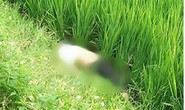 Tá hỏa phát hiện người đàn ông tử vong bên xe máy