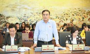 Chủ tịch EVN cho rằng đại biểu Lê Thu Hà tính chưa đúng về giá điện