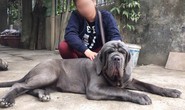 Thú cưng và mối họa