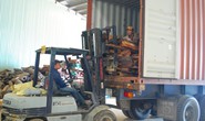 Khởi tố vụ án bán vật chứng trong vụ án gỗ trắc lậu tại Đà Nẵng