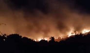 Cháy hơn 5.000 m2 thực bì trên núi Sơn Trà