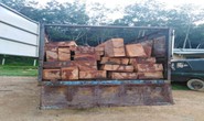 Đục khoét số khung, số máy xe tải để chở gỗ lậu