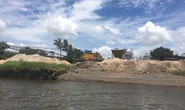 Cát tặc vào vòng án điểm