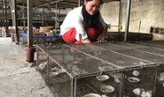 Thoát nghèo nhờ vay vốn Công đoàn
