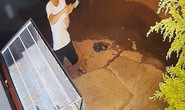 Truy bắt đối tượng dùng búa đập tủ kính, trộm tiệm vàng