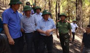 Trưởng Ban Tổ chức Trung ương Phạm Minh Chính thị sát vụ cháy rừng kinh hoàng ở Hà Tĩnh