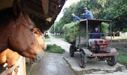 Đường cao tốc Bắc - Nam né viện sản xuất vắc-xin