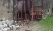 Vụ hổ cắn lìa tay người ở Bình Dương: Đề nghị thu hồi giấy phép nuôi hổ