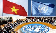 Việt Nam trúng cử uỷ viên không thường trực HĐBA LHQ với số phiếu 192/193