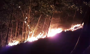 Đang cháy rừng ở Quảng Nam