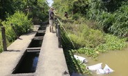 Lơ là chống dịch tả heo châu Phi