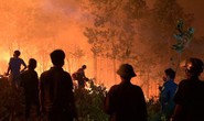 Giá đắt từ vụ cháy rừng
