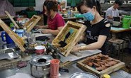Thử việc, trả đủ lương?