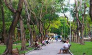 TP HCM thiếu trầm trọng công viên, cây xanh