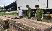 Phát hiện kho chứa gỗ lậu quý ở Trường Sơn