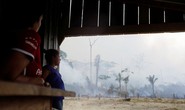Cháy rừng Amazon: Tổng thống Brazil bị chỉ trích
